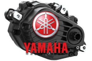 Vélo électrique : Brose cède sa division moteur à Yamaha